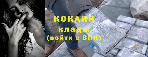 тгк Алзамай