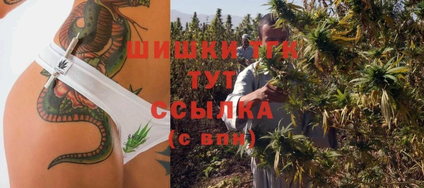 тгк Алзамай