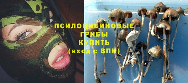 тгк Алзамай