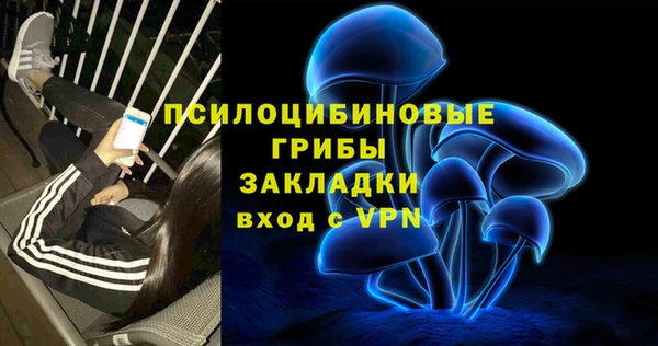 тгк Алзамай