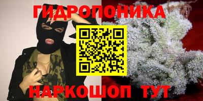 ECSTASY Анжеро-Судженск