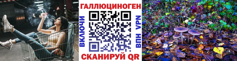 гидра ONION  Тейково  Галлюциногенные грибы Cubensis 