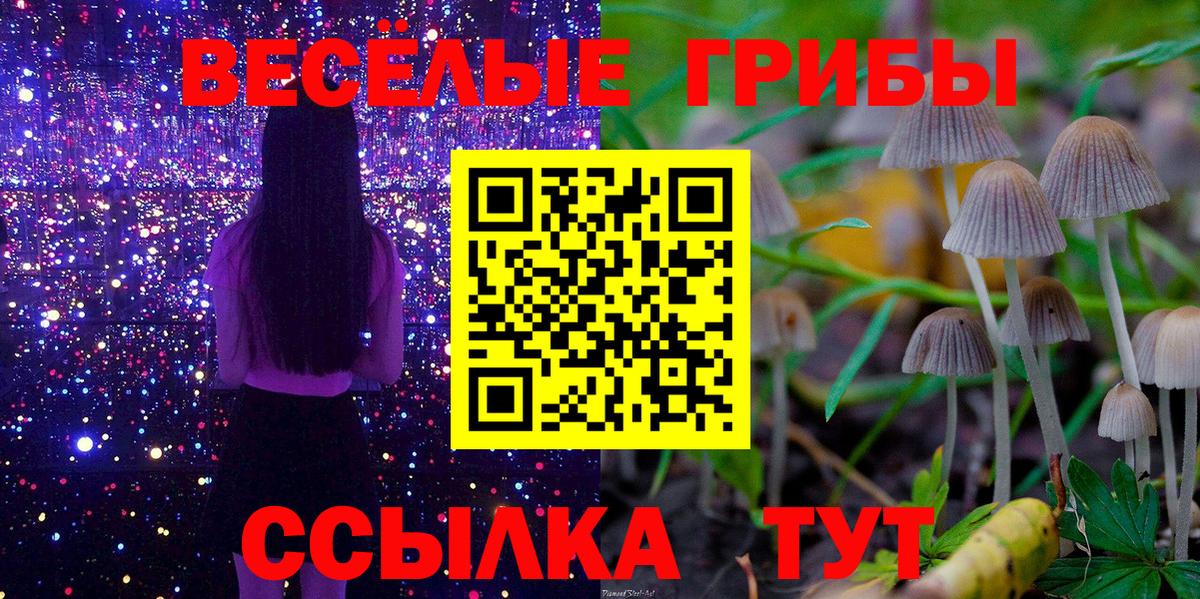 Галлюциногенные грибы MAGIC MUSHROOMS  Вход с VPN  Тейково 